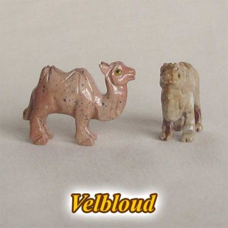 Velbloud